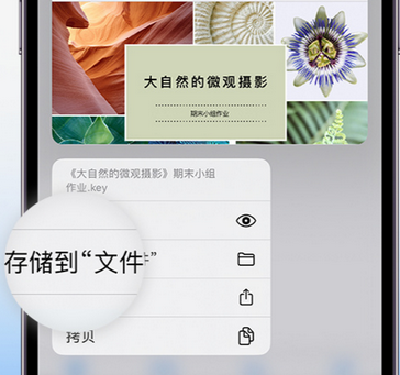 故城apple维修中心分享iPhone文件应用中存储和找到下载文件