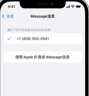 故城apple维修iPhone上无法正常发送iMessage信息