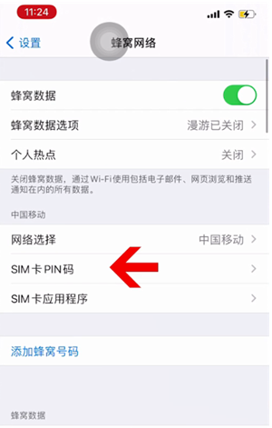 故城苹果14维修网分享如何给iPhone14的SIM卡设置密码 