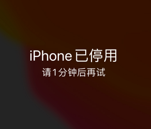 故城苹果手机维修分享:iPhone 显示“不可用”或“已停用”怎么办？还能保留数据吗？ 