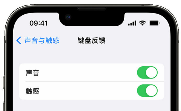 故城苹果手机维修分享iPhone 14触感键盘使用方法 