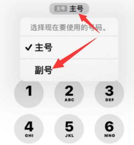 故城苹果14维修店分享iPhone 14 Pro Max使用副卡打电话的方法 