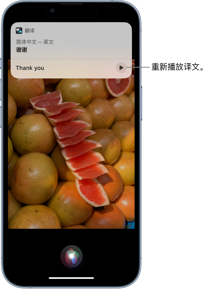 故城苹果14维修分享 iPhone 14 机型中使用 Siri：了解 Siri 能帮你做什么 